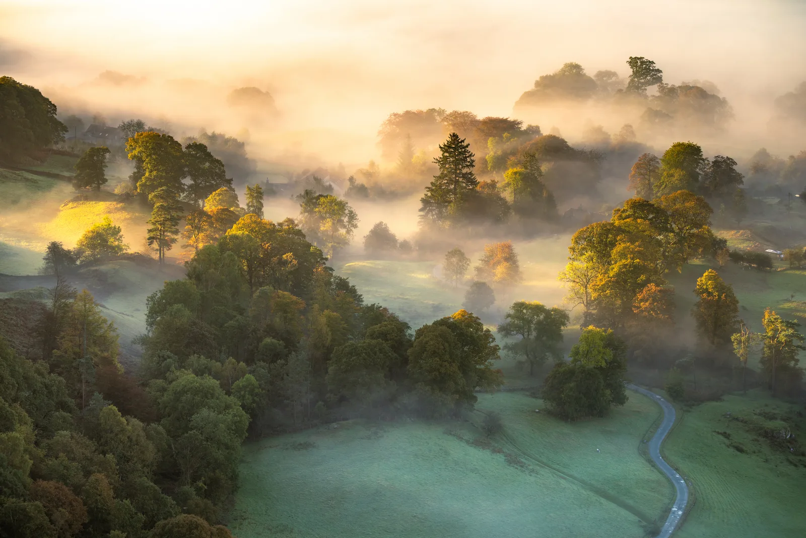 Morgennebel über sanften Hügeln